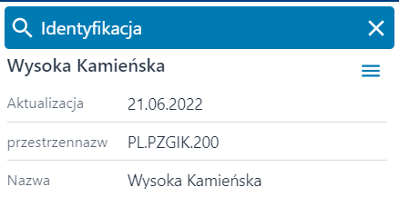 Okno identyfikacji obiektu