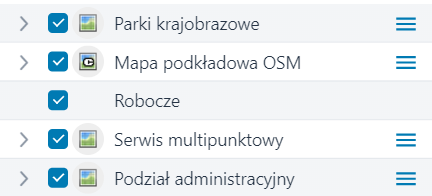 Lista zawartych warstw oraz serwisów w wybranym module
