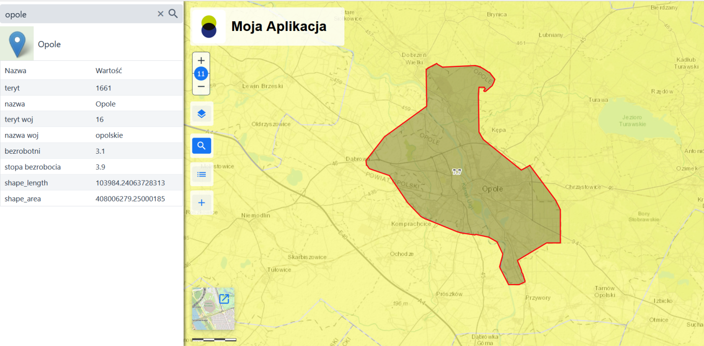 Wyszukiwanie – identyfikacja