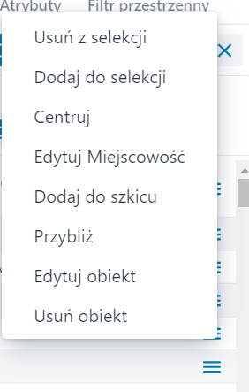 Menu kontekstowe na obiekcie – Selekcja, Analizy, Raporty