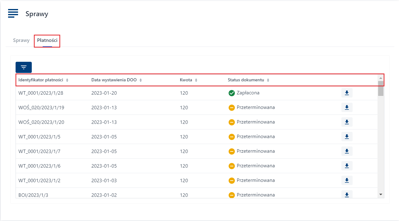 Płatności - kolumny